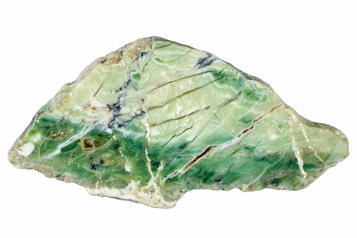 Polished Green-White Opal Slab - Western Australia #279731